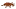 Copper Back