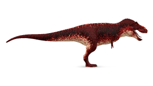 Crimson Rex