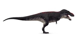 Rental Rex