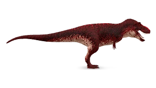 RUBIN · Crimson Sovereign