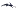 RUBIN · Night Sky