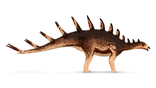 RUBIN · Inferno Spines