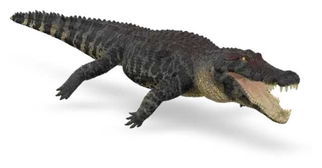 Deinosuchus
