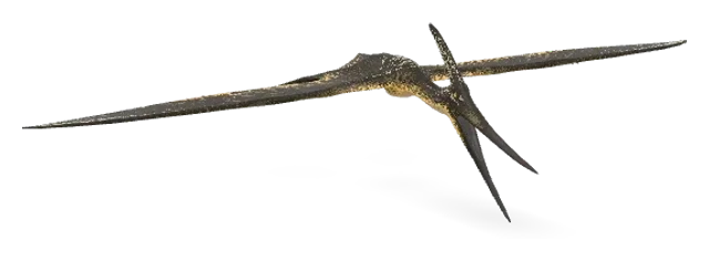 Pteranodon