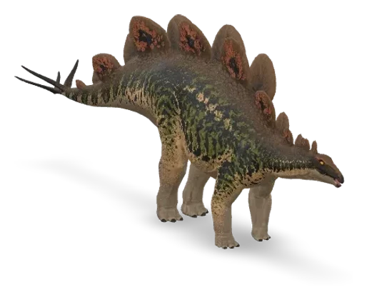 Stegosaurus