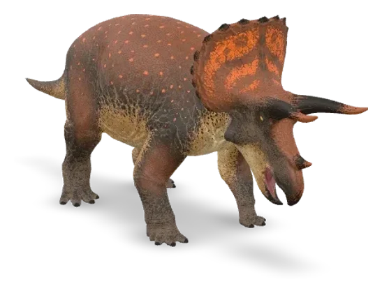 Triceratops